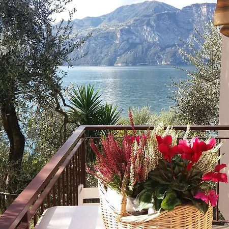 La Virgola *