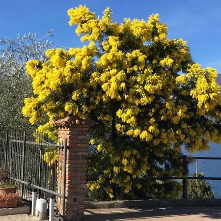 La Virgola