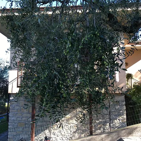 La Virgola * Brenzone sul Garda