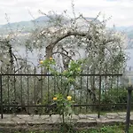 La Virgola * Brenzone sul Garda