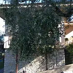 La Virgola * Brenzone sul Garda