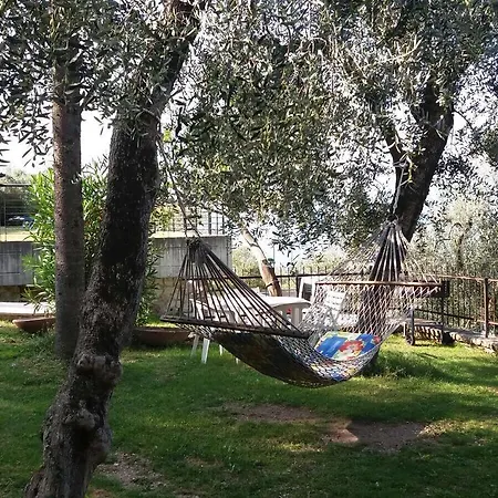 La Virgola *